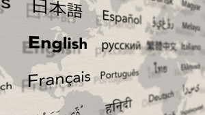 Multilingual Support