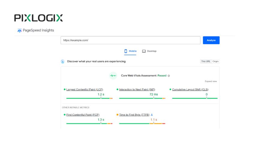 PageSpeed Insights